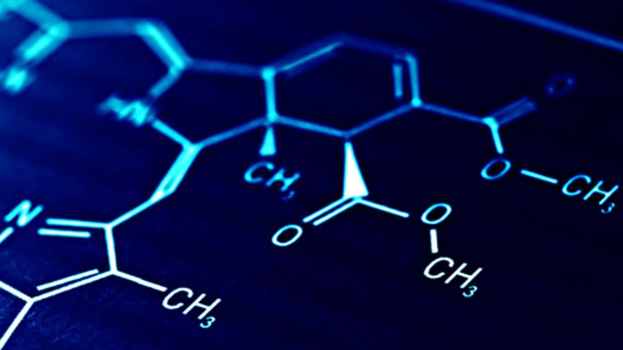 留學生作業輔導