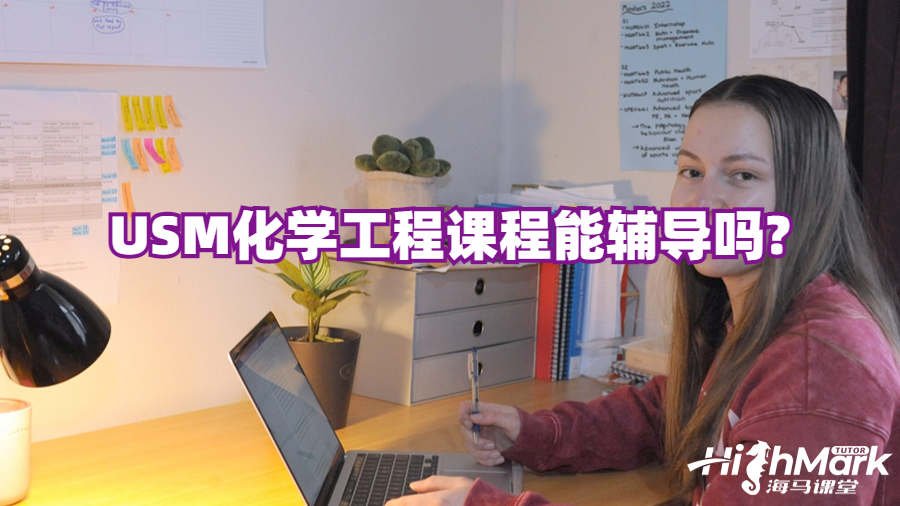USM化學工程課程能輔導嗎?