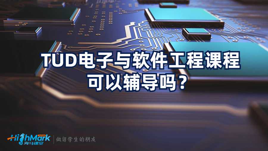 TUD電子與軟件工程課程可以輔導嗎？