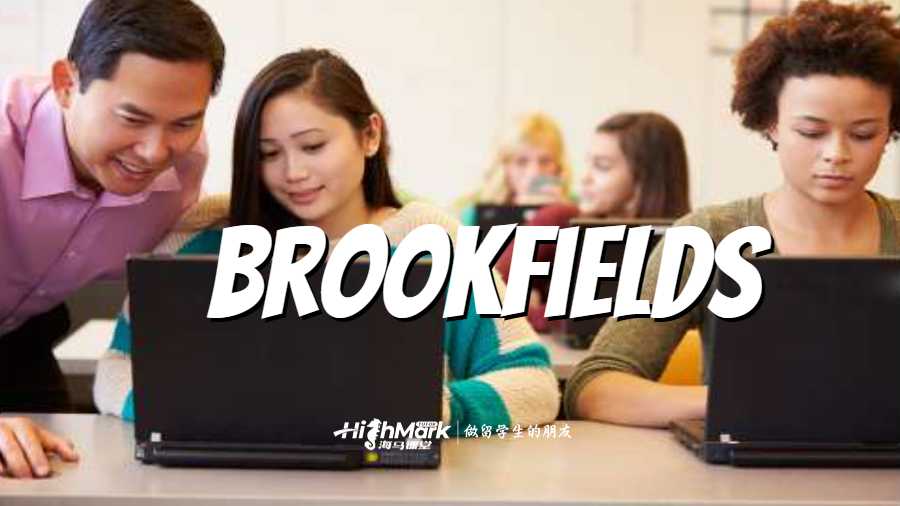 Brookfields的反思模式