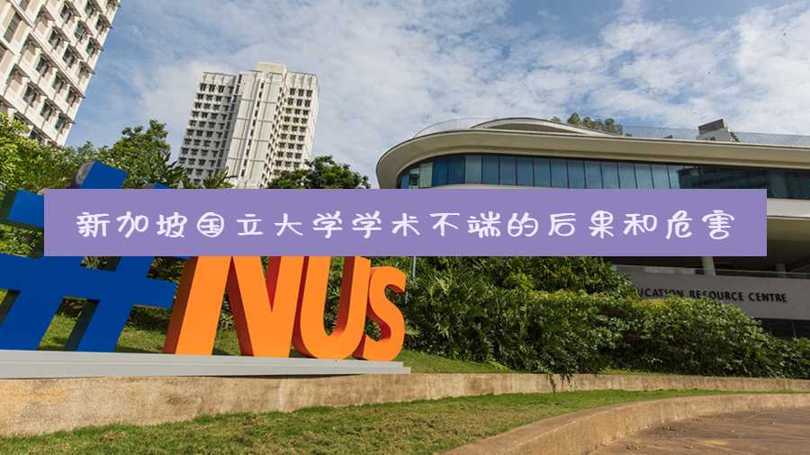 新加坡國立大學學術不端的后果和危害