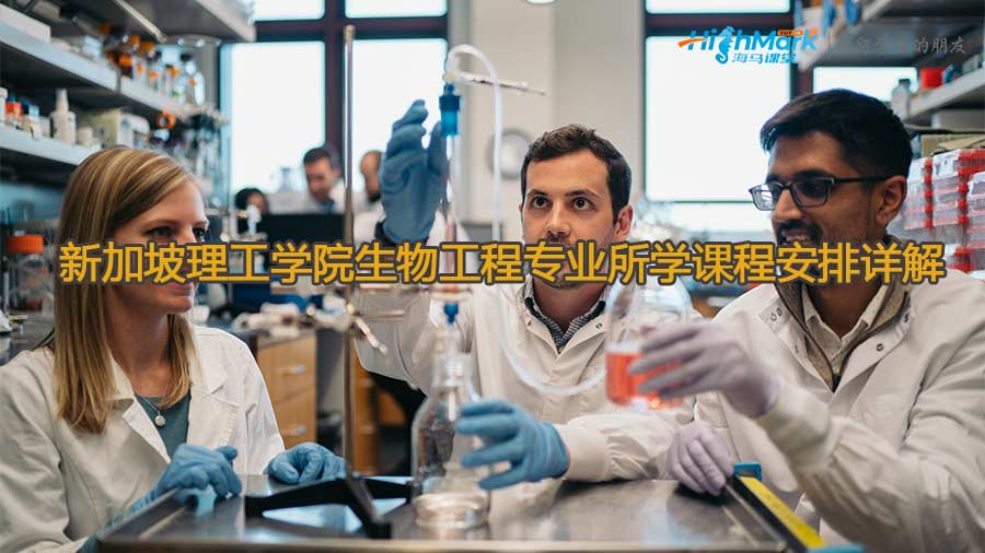新加坡理工學院生物工程專業所學課程安排詳解