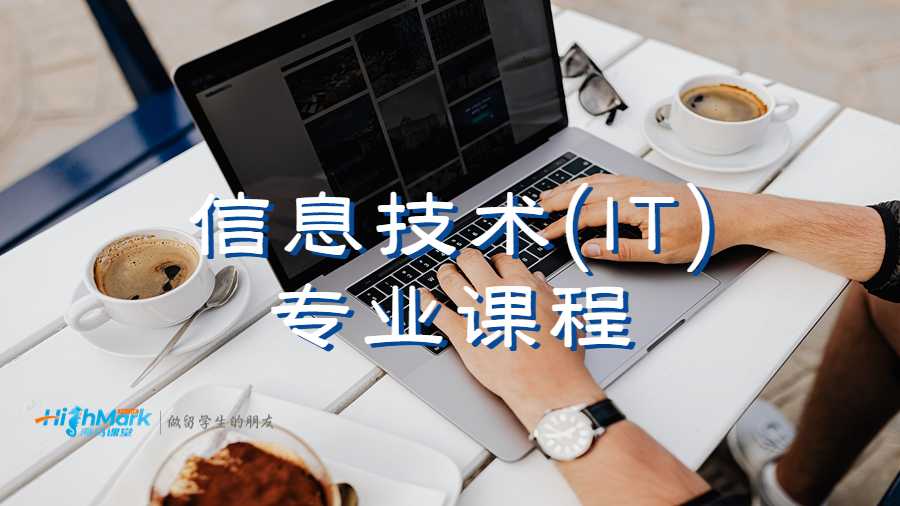 信息技術(IT)專業課程