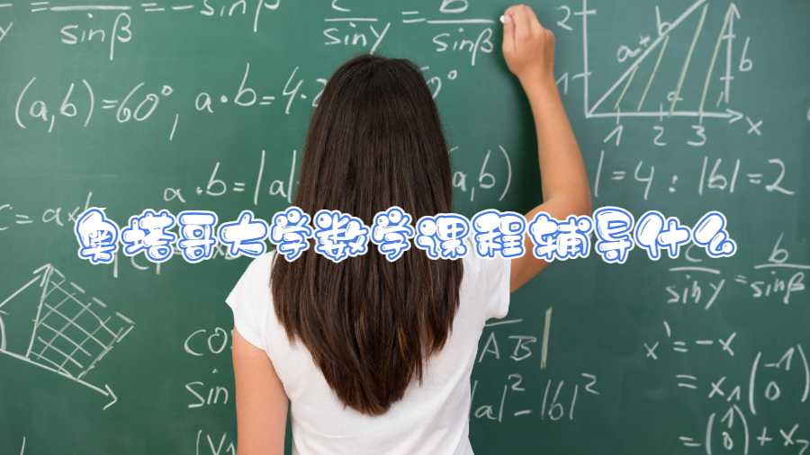 奧塔哥大學(xué)數(shù)學(xué)課程輔導(dǎo)什么
