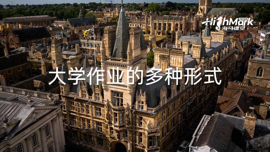 大學作業的多種形式