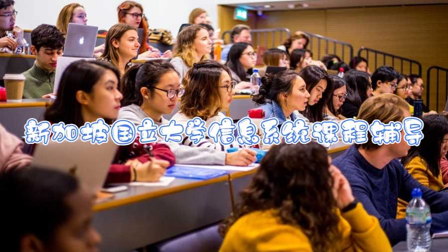 新加坡國立大學信息系統課程輔導