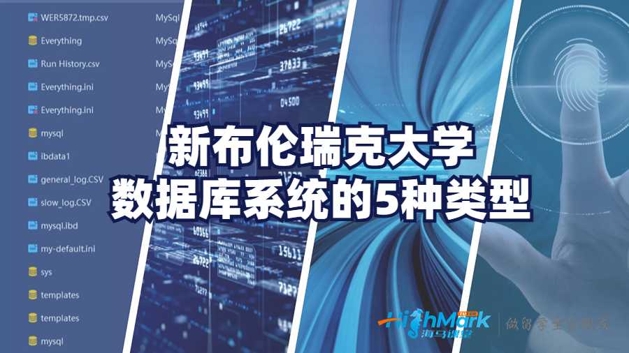 新布倫瑞克大學(xué)數(shù)據(jù)庫(kù)系統(tǒng)的5種類(lèi)型