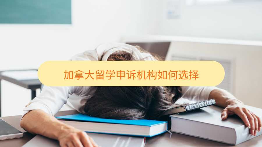 加拿大留學申訴機構如何選擇