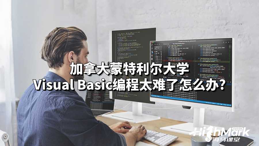 加拿大蒙特利爾大學Visual Basic編程太難了怎么辦?