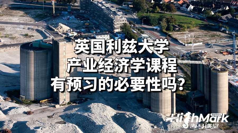 英國利茲大學產業經濟學課程有預習的必要性嗎？