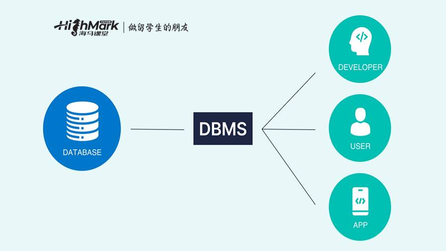 數據庫管理系統(DBMS)