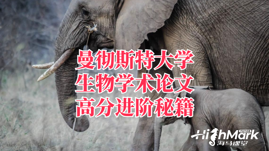 曼徹斯特大學生物學術論文高分進階秘籍