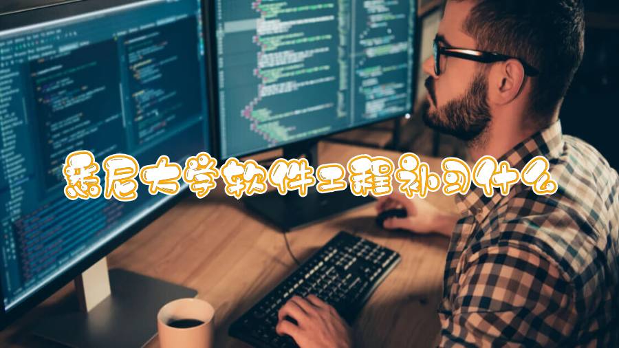 悉尼大學軟件工程補習什么