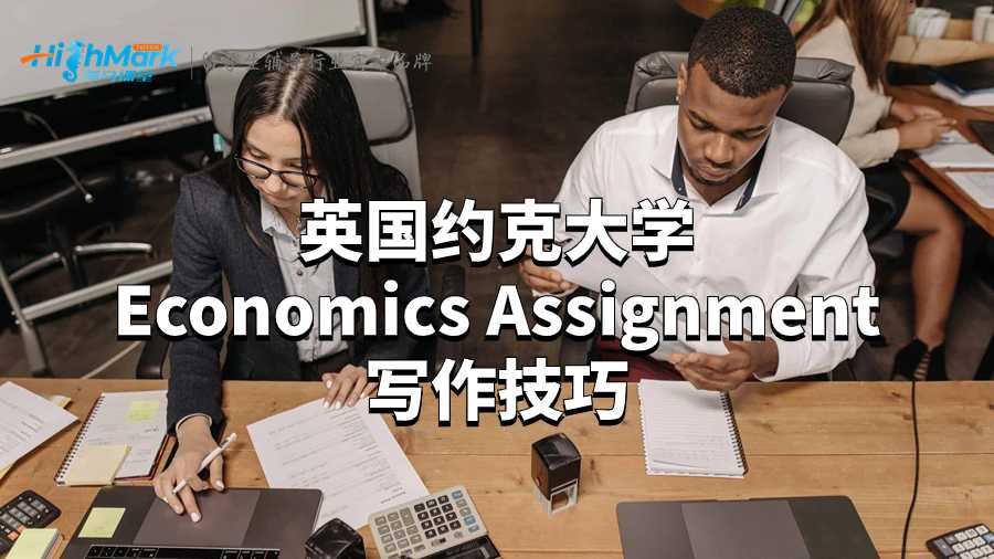 英國約克大學Economics Assignment寫作技巧