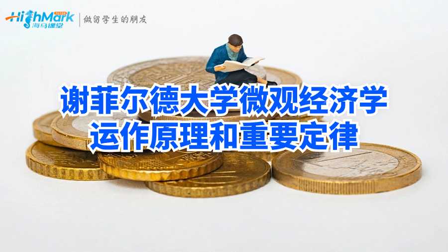 微觀經(jīng)濟學