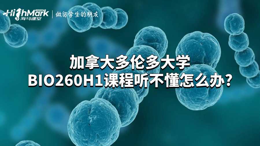 加拿大多倫多大學BIO260H1課程聽不懂怎么辦?