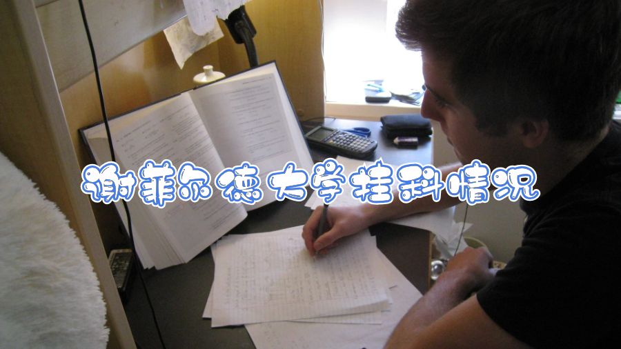 謝菲爾德大學掛科情況