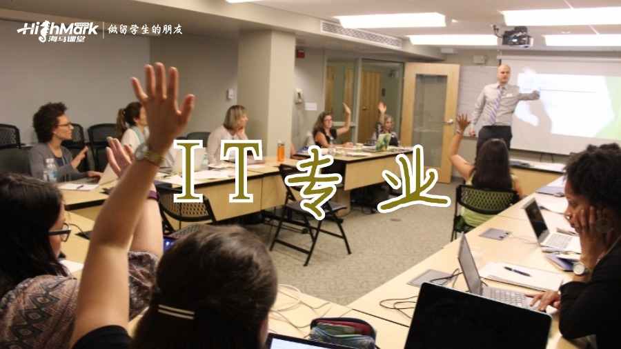 IT專業