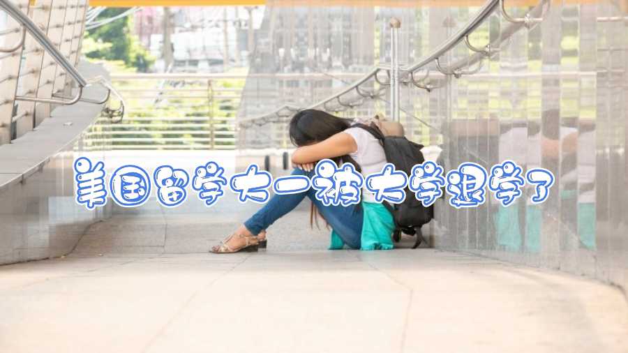 美國(guó)留學(xué)大一被大學(xué)退學(xué)了怎么辦