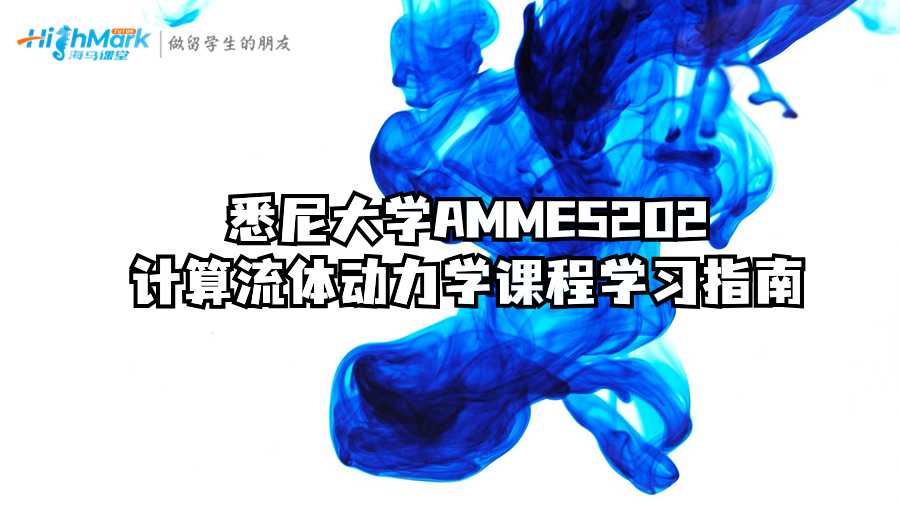 悉尼大學AMME5202計算流體動力學課程學習指南