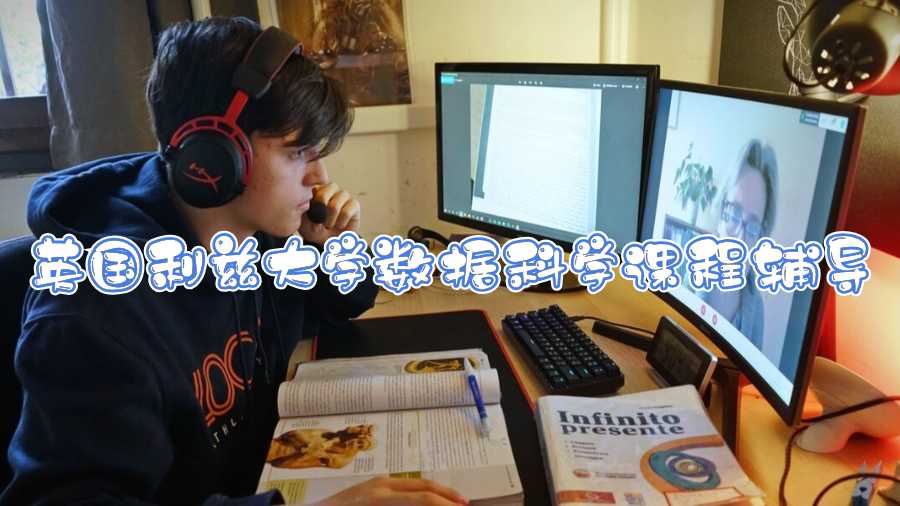 英國利茲大學數(shù)據(jù)科學課程輔導