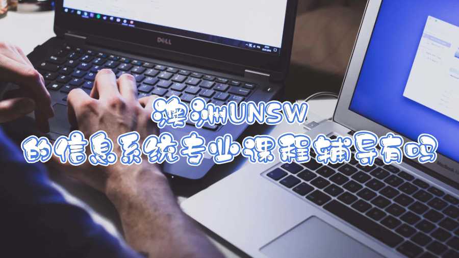 澳洲UNSW的IT專業(yè)課程輔導有嗎