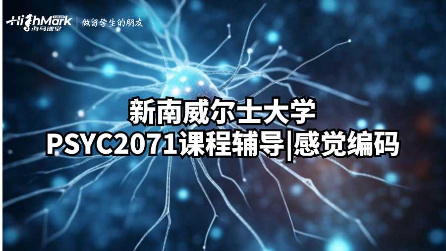 新南威爾士大學(xué)PSYC2071課程輔導(dǎo)