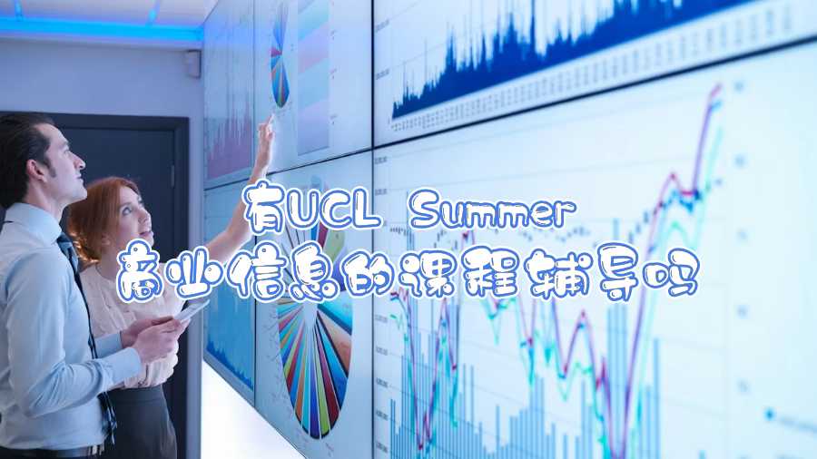 有UCL Summer商業信息的課程輔導嗎