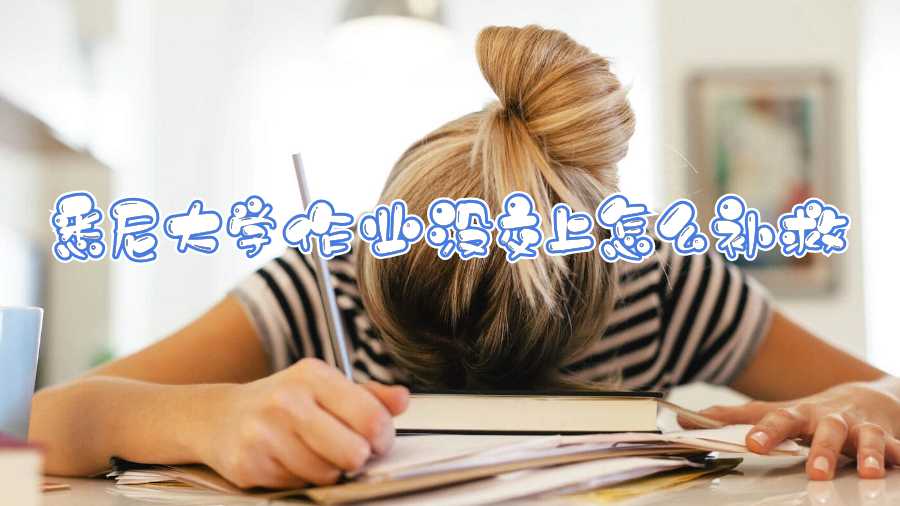 悉尼大學作業沒交上怎么補救