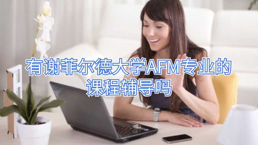 有謝菲爾德大學AFM專業的課程輔導嗎