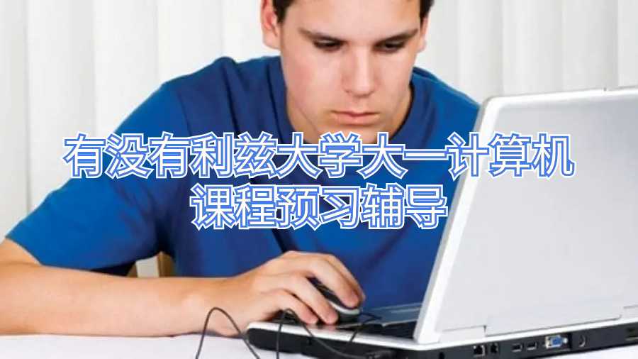 有沒有利茲大學大一計算機課程預習輔導