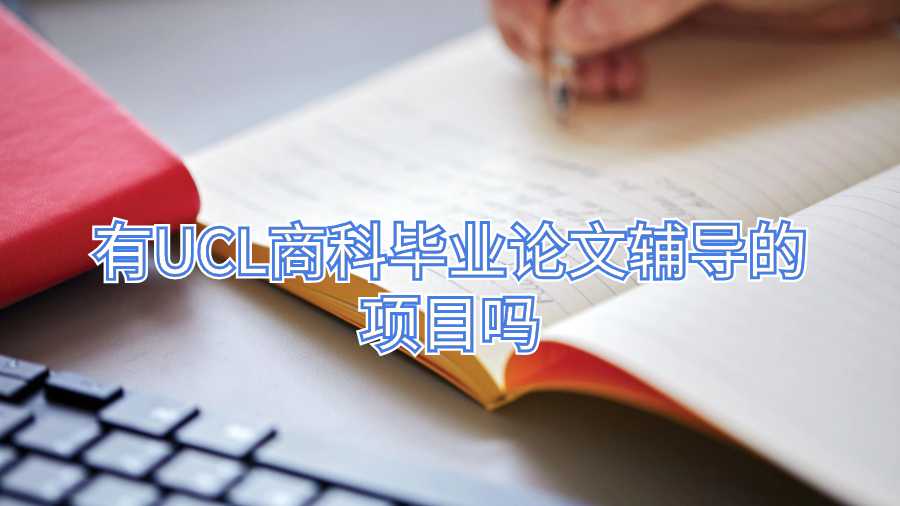 有UCL商科畢業論文輔導的項目嗎