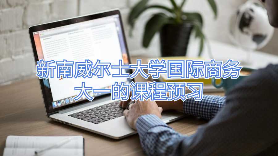 新南威爾士大學國際商務大一的課程預習