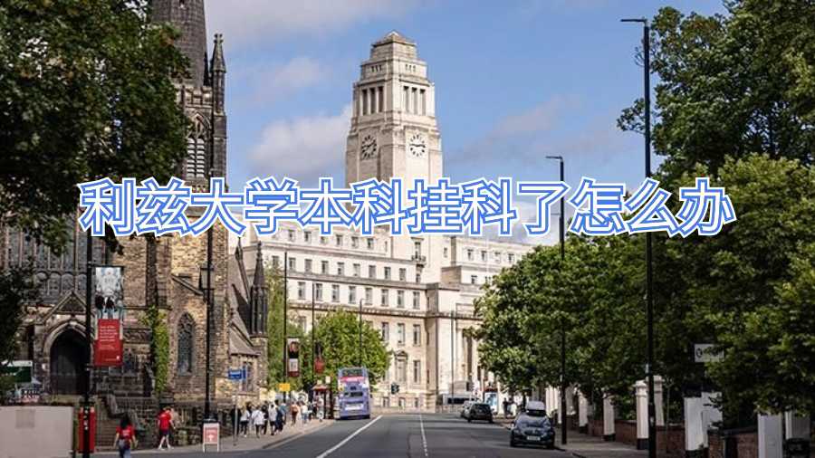 利茲大學(xué)本科掛科了怎么辦