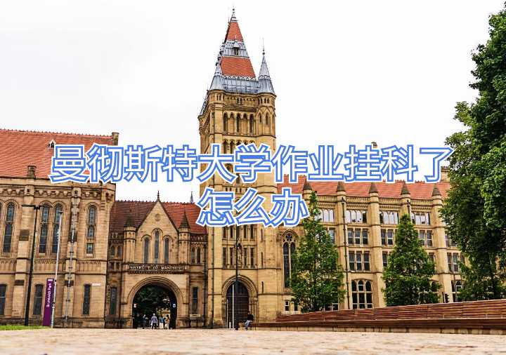 曼徹斯特大學作業掛科了怎么辦