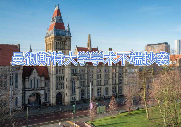 曼徹斯特大學學術不端抄襲