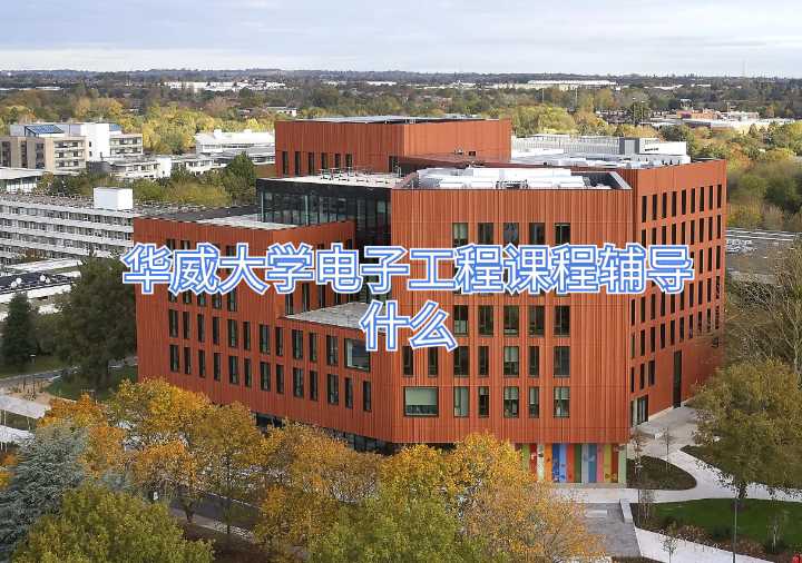 華威大學(xué)電子工程課程輔導(dǎo)什么