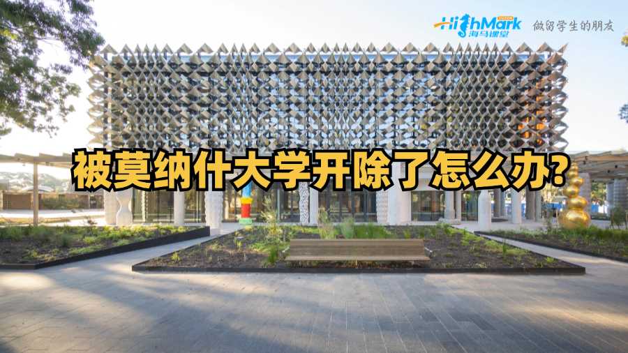 被莫納什大學開除了怎么辦?