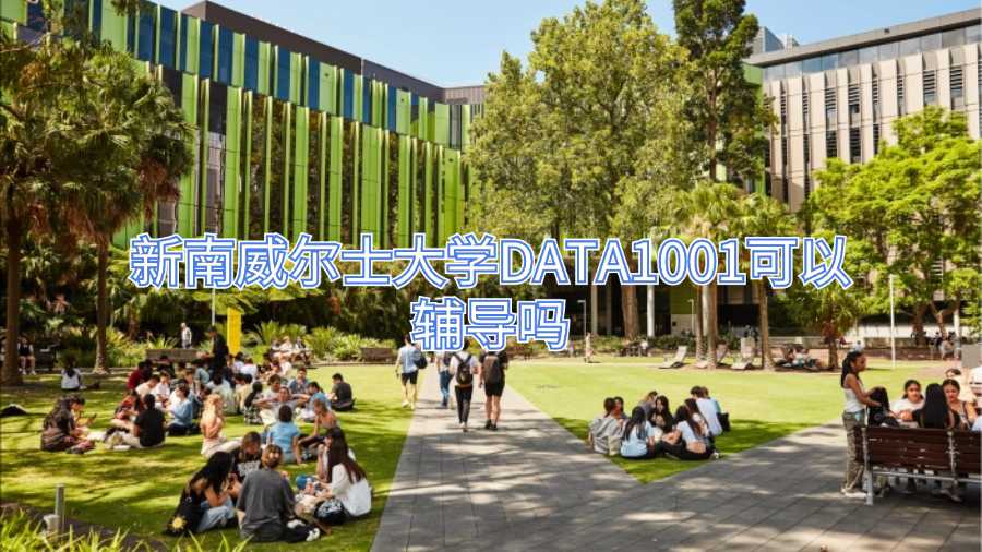 新南威爾士大學DATA1001可以輔導嗎
