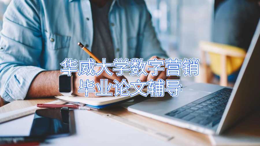 華威大學數字營銷畢業論文輔導