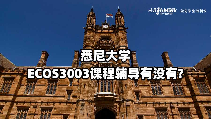 悉尼大學ECOS3003課程輔導有沒有?