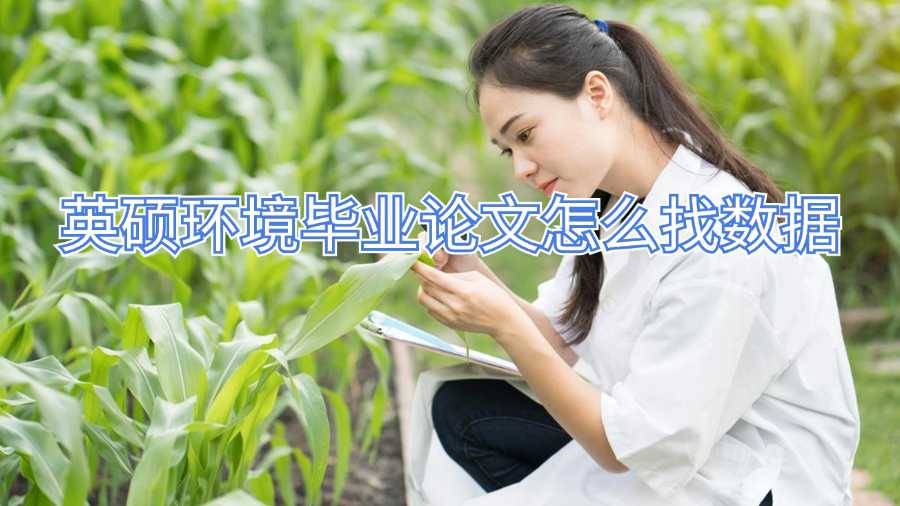 英碩環境畢業論文怎么找數據