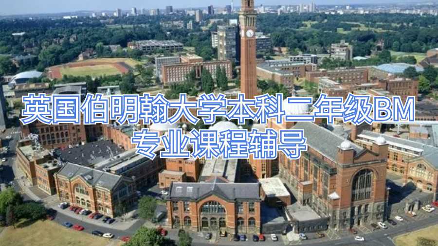 英國伯明翰大學本科二年級BM專業課程輔導