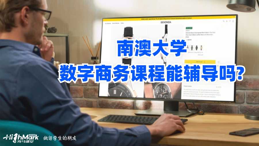 南澳大學數字商務課程能輔導嗎?
