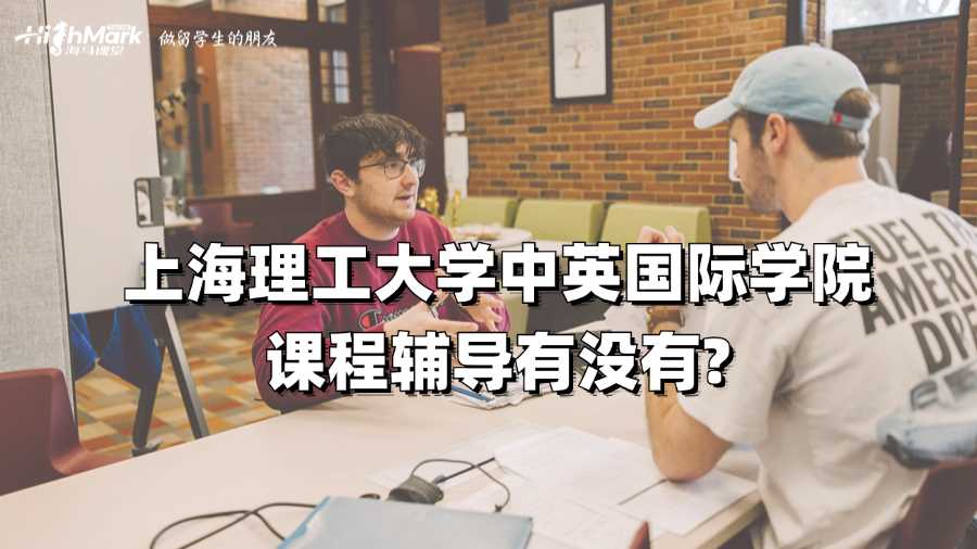 上海理工大學中英國際學院課程輔導有沒有?