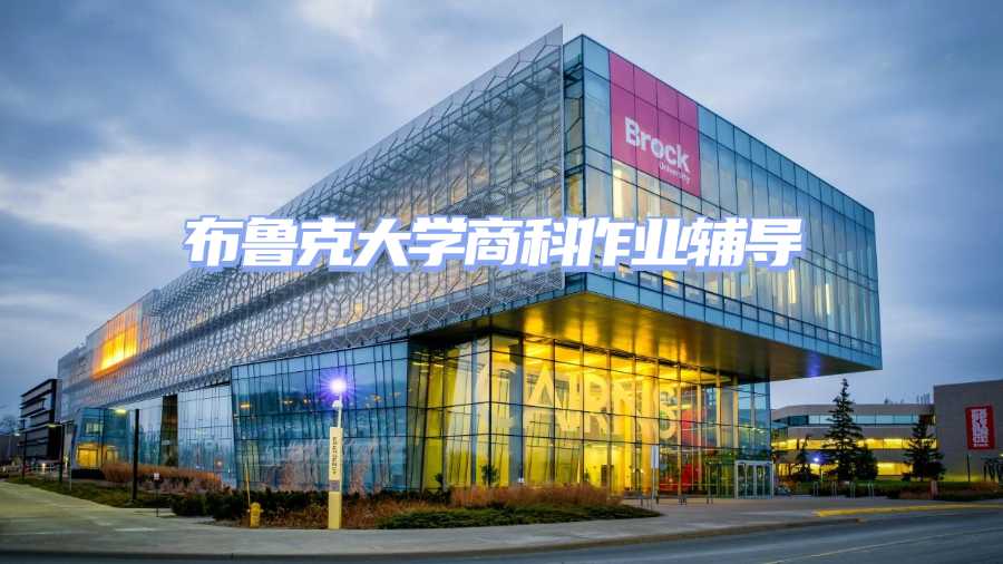 布魯克大學(xué)作業(yè)輔導(dǎo)