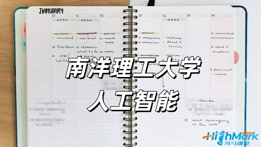 南洋理工大學人工智能課程輔導