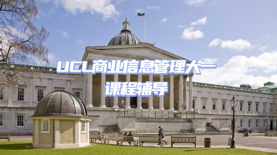 UCL商業信息管理大一課程輔導