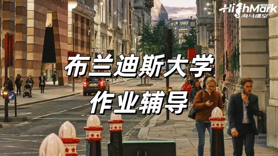 布蘭迪斯大學作業輔導