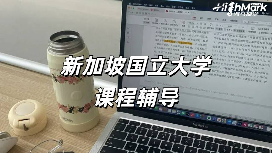 新加坡大學文科課程輔導